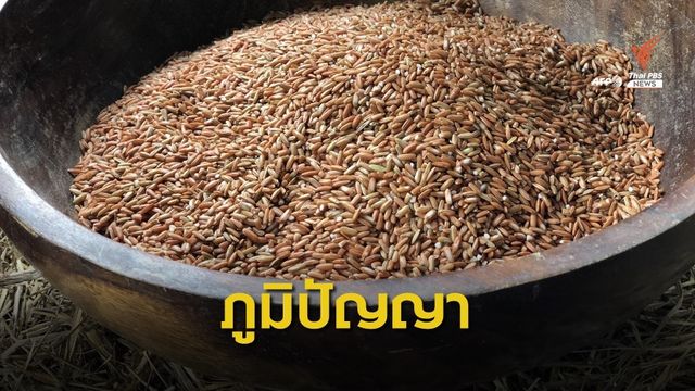 ชง “ข้าวเหนียวแดงเมืองเลย” ขึ้นทะเบียนสิ่งบ่งชี้ทางภูมิศาสตร์