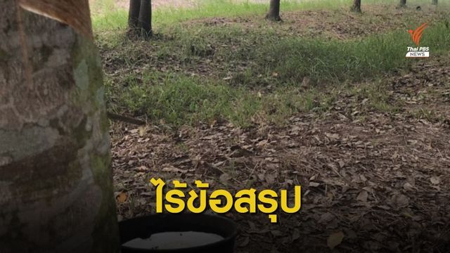 ไร้ข้อสรุปประกันราคายาง