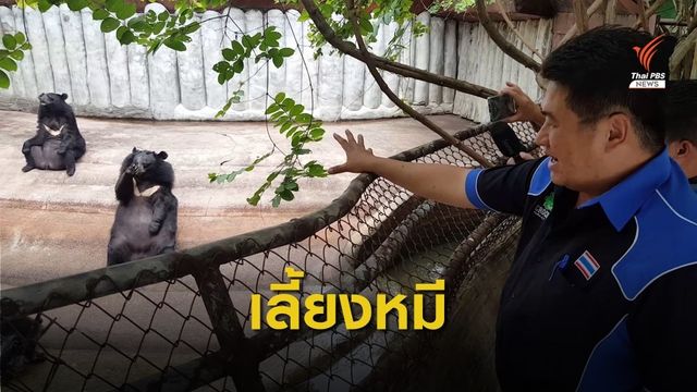 สวนสัตว์ดัง ชี้แจงบ่อเลี้ยงหมี กลมกลืนธรรมชาติ-ปล่อยอิสระ