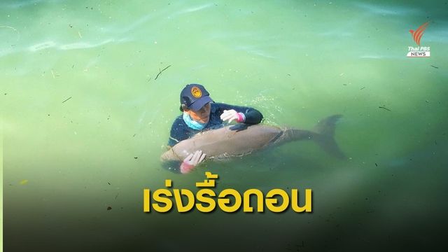 ไม่ย้าย "มาเรียม" เข้าบ่อบริบาล หวั่นเครียด