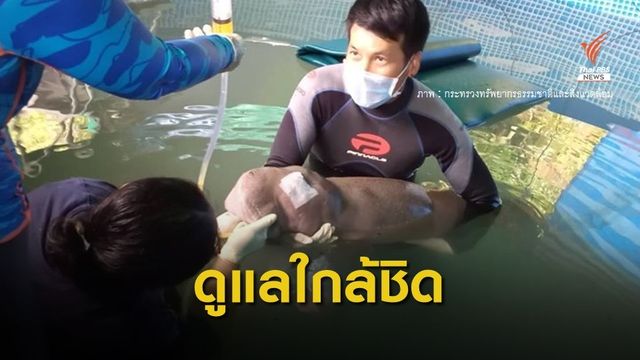 "มาเรียม" อาการดีขึ้น ตอบสนองยา-กินอาหารได้