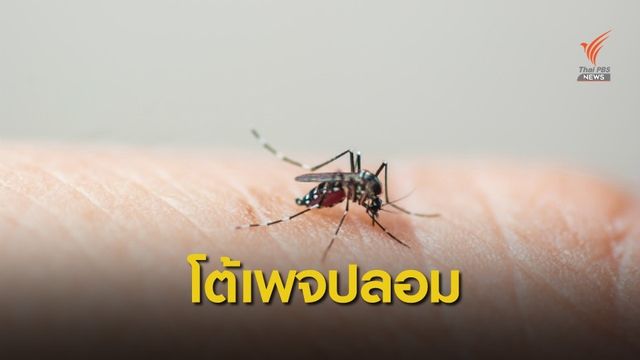 กรมควบคุมโรค ย้ำ ยังไม่พบไข้เลือดออกสายพันธุ์ใหม่-ดื้อยา 