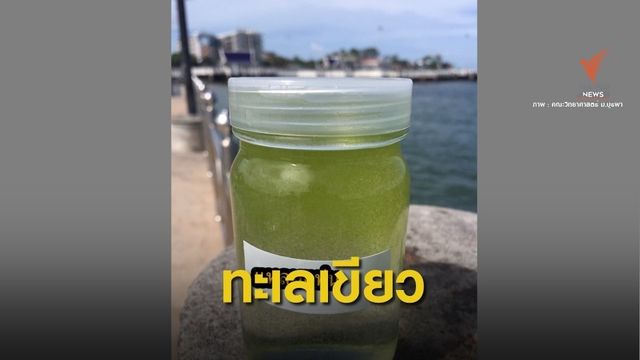 มาถี่ขึ้น ! "บางแสน-แหลมแท่น" น้ำทะเลเปลี่ยนสี