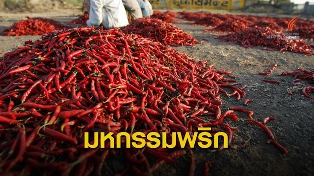 จีนจัดมหกรรมพริกส่งเสริมอุตสาหกรรม-เพิ่มทางเลือกเพาะปลูก