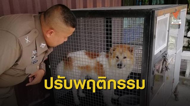WDT รับทำหมัน-ปรับพฤติกรรมสุนัข "บางแก้ว" กัดเจ้าของเสียชีวิต