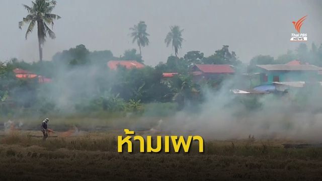ผู้ว่าฯ อ่างทอง สั่งเข้มรับมือฝุ่น PM 2.5 ห้ามเผาตอซังข้าว
