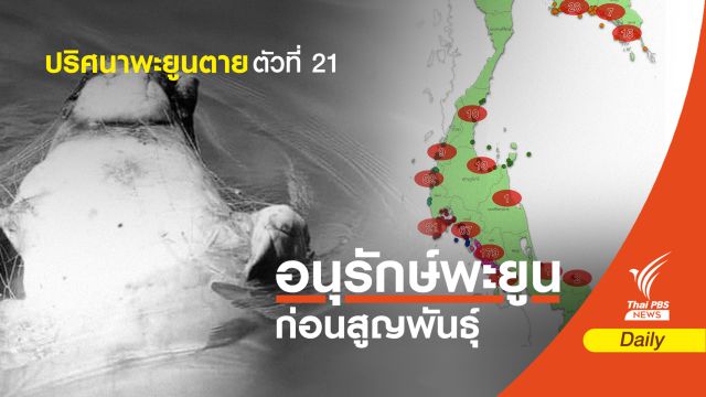 ยังไม่หยุด! "พะยูน" ถูกอวนรัดตายเพิ่มตัวที่ 21 