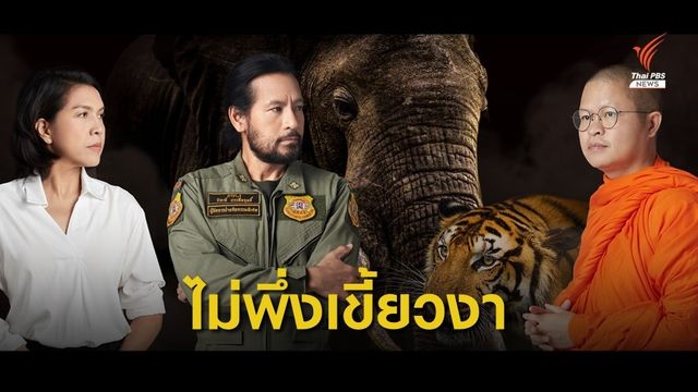“ชีวิตดีต้องไร้ฆ่า” ชวนคนไทยไม่พึ่งเขี้ยวงา