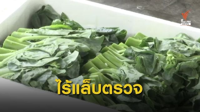 ชงตั้งแล็บด่านเชียงของ ตรวจ "ผักจีน" นำเข้าปีละ 2,500  ล้านบาท