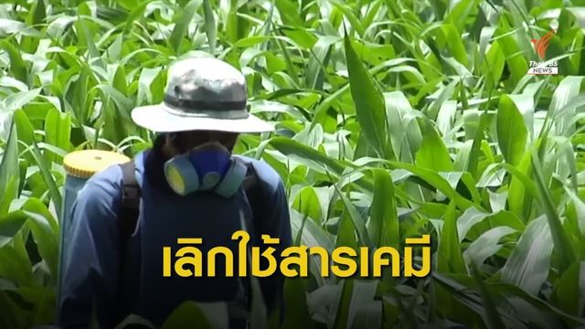 องค์กรต่อต้านคอร์รัปชันฯ หนุนยกเลิกใช้สารเคมีอันตราย 3 ชนิด 
