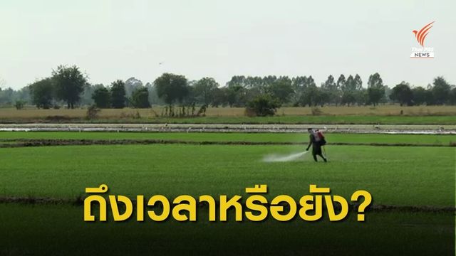 กลุ่มเห็นต่างแบนสารเคมีสะท้อนผ่านสังคมออนไลน์