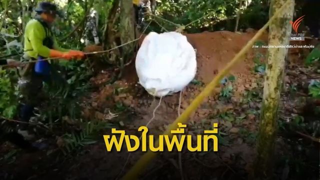 ปรับแผน! ฝังซากช้างตกเหวตาย-หามส่งเจ้าหน้าที่ป่วยเข้า รพ. 