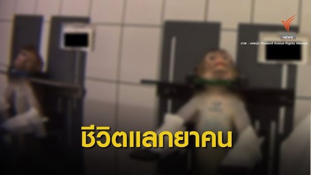 เปิดโปง "ห้องประหารสัตว์" จากแล็บยาชื่อดัง