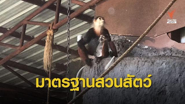 ทส.จัดทำมาตรฐานสวนสัตว์ เตรียมออกกฎกระทรวงปี 63