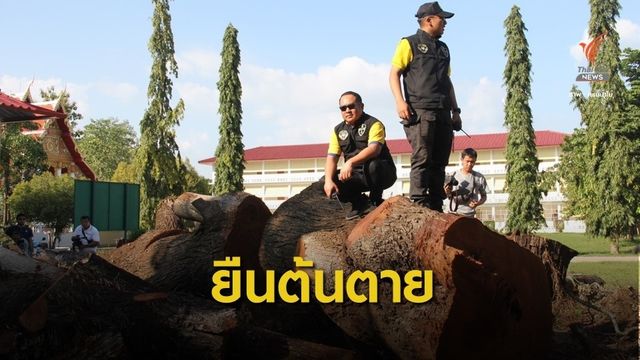 วัดท่าทราย แจ้งความ กก.วัดลักทรัพย์ตัดไม้หวงห้าม 