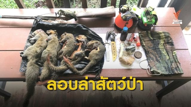 จับ 3 พรานล่าสัตว์ป่าในเขตฯ เขาประ-บางคราม จ.กระบี่
