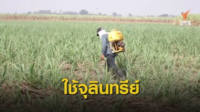 ก.เกษตรฯ เล็งทดลองใช้ "จุลินทรีย์" กำจัดวัชพืช