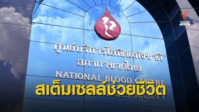 "กาชาด" ชวนบริจาคสเต็มเซลล์ ช่วยรักษาผู้ป่วยโรคเลือดถาวร