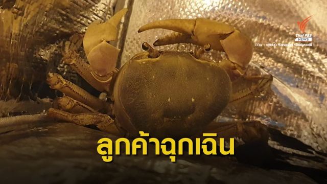 หนุ่มแกร็บไบค์ใจดีพา "แม่ปูไก่" ส่งป่าชายเลน