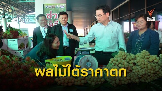เร่งแก้ราคาผลไม้ใต้ตกต่ำ 