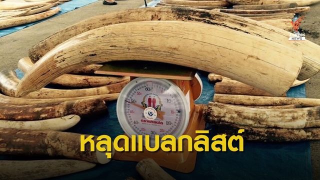 “ไซเตส” ปลดไทยพ้นบัญชีดำค้างาช้างข้ามชาติ
