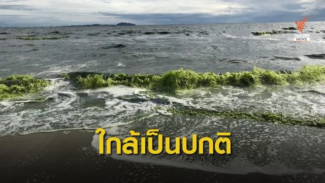 นายกฯ ตุ้ย แจง “แพลงก์ตอนบลูม” เริ่มลดลง คาด 1-2 วัน ปกติ 