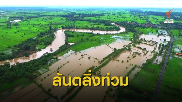 "ลำเซบาย" เริ่มเอ่อล้นตลิ่งท่วมนาข้าว 