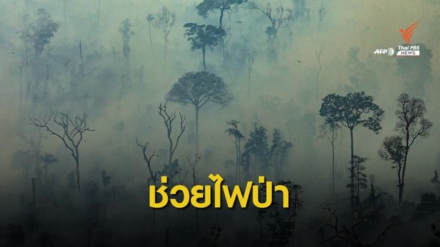 "ลีโอนาร์โด" บริจาคเงินกว่า 153 ล้านบาท ช่วยไฟป่าแอมะซอน