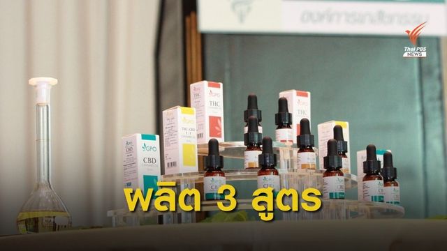 อภ.เตรียมผลิตน้ำมันกัญชา 3 สูตรในเดือน ธ.ค.นี้