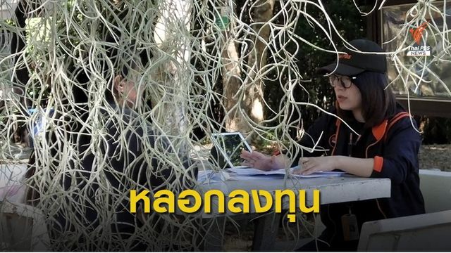 อ้างเป็นข้าราชการหลอกลงทุนงานวิจัย เสียหายกว่า 7 แสนบาท 