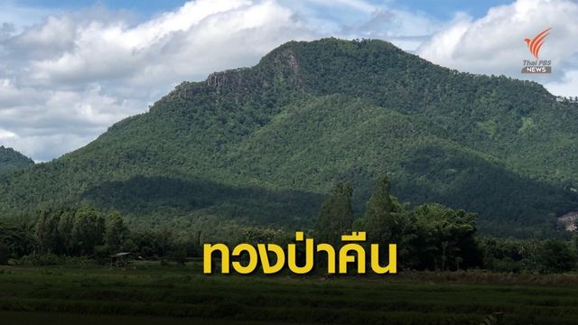 "ทวงคืนป่า" จากนายทุน 8 แสนไร่ เร่งช่วยคนจนได้รับผลกระทบ