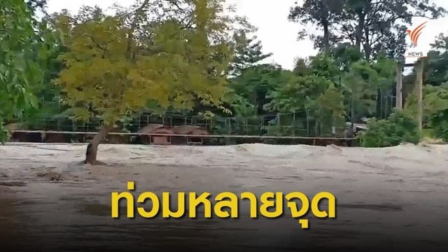 "เพชรบูรณ์-อุตรดิตถ์-พิษณุโลก" ฝนถล่ม น้ำป่าไหลหลาก