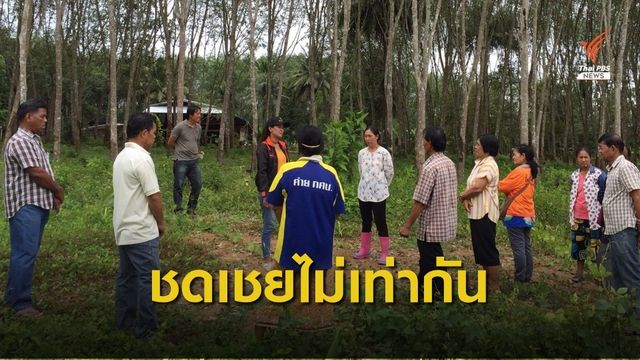 ชาวสวนประจวบฯ ร้องได้ค่าชดเชย กฝผ.ไม่เท่าชาวสวนชุมพร  