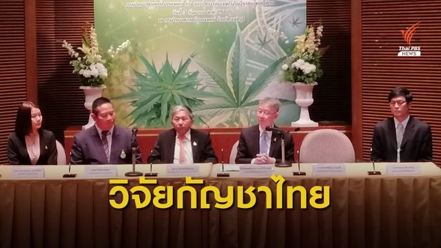 ปลูกกัญชาสายพันธุ์ไทย เพื่อผลิตตำรับยาแผนไทย
