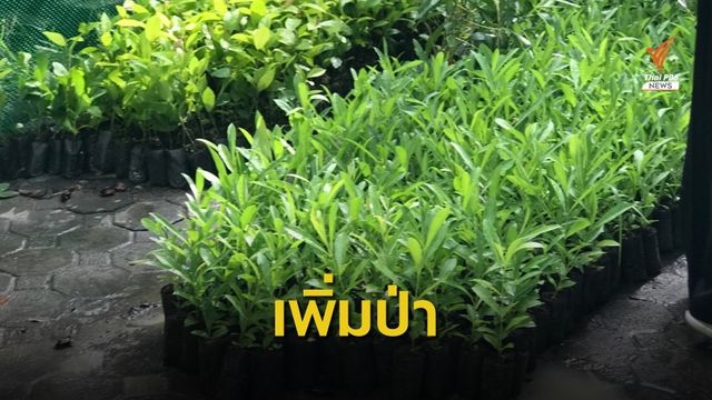 ทะลุ 10 ล้านต้น ปลูกต้นไม้เฉลิมพระเกียรติ รัชกาลที่ 10