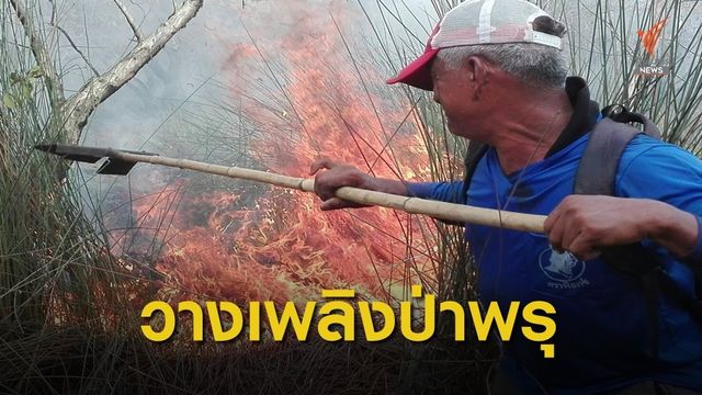 พบการวางเพลิงป่าพรุ  ในเขตห้ามล่าสัตว์ป่าน้อย จ.พัทลุง 