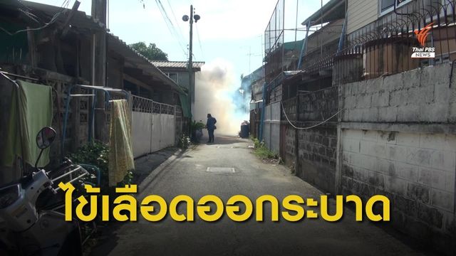 เฝ้าระวัง "สงขลา" ไข้เลือดออกระบาด เสียชีวิต 1 คน 