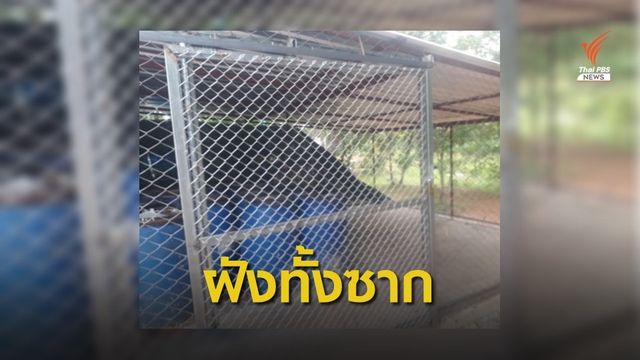 โต้ปม "ถอดเขี้ยว-หนังเสือ" ป่วยตาย ยัน 86 ซากไม่หาย