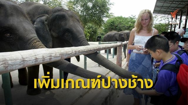 ยกระดับมาตรฐานปางช้าง 250 แห่งทั่วประเทศ