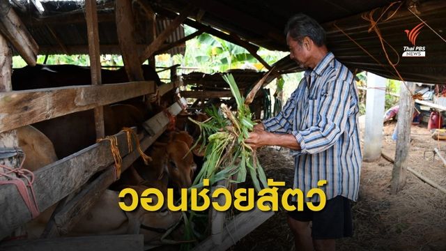 ชาวบ้านวอนช่วยบริจาค หลังน้ำท่วมอาหารสัตว์ขาดแคลน
