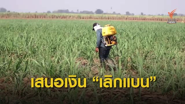 "ไทยแพน" เผยมีกลุ่มทุนเสนอจ่ายเงิน 9 หลักเลิกแบนพาราควอต
