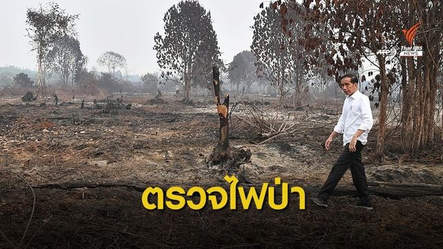 "โจโควี" เชื่อมีการวางแผนจุดไฟเผาป่าบนเกาะสุมาตรา