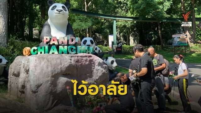 เตรียมผ่าพิสูจน์ "ช่วงช่วง" พรุ่งนี้