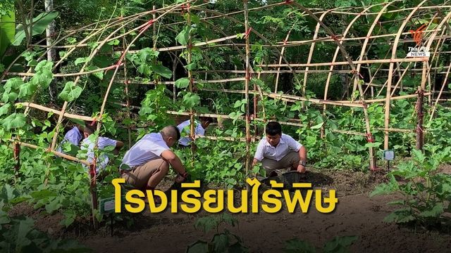 สพฐ.ประกวด ร.ร.ต้นแบบอาหารกลางวัน ต้องเป็น "เกษตรอินทรีย์" 