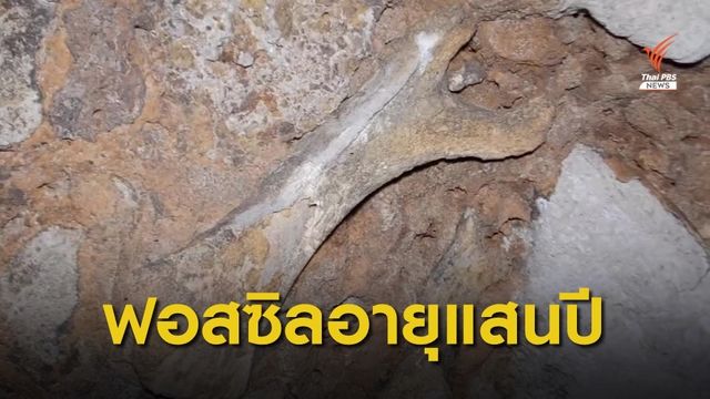 พบซากฟอสซิลอายุประมาณ 2 แสน ถึง 8 หมื่นปี 