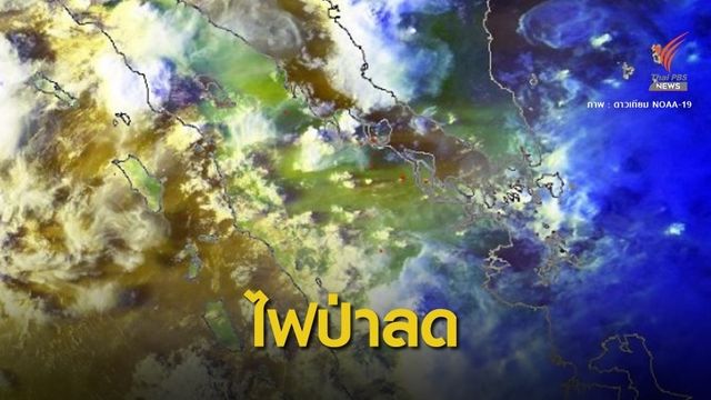  แนวโน้มจุดความร้อนไฟป่าอินโดฯ ลดเหลือแค่ 382 จุด 
