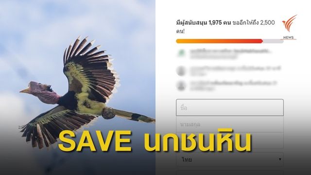 โซเชียลหนุน "นกชนหิน" เป็นสัตว์ป่าสงวน อันดับที่ 20 ของไทย