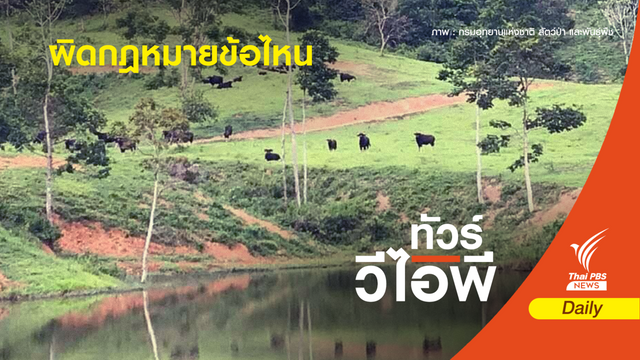 เข้าจุดหวงห้ามผิดกฎหมาย สงวนและคุ้มครองสัตว์ป่า ?
