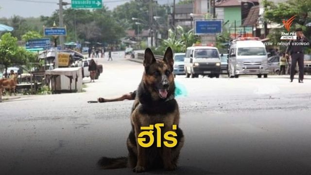 ร่วมรำลึก "เจ้ากาแฟ" ผู้กล้า  4 ขาจากชายแดนใต้