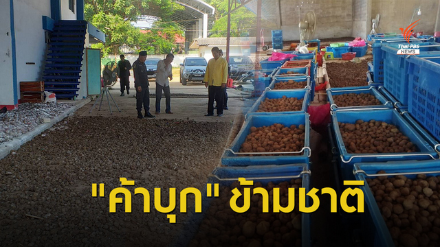 สกัดทุนจีนสวมโควตาซื้อ-ลอบขนบุกปลูกนอกไทย